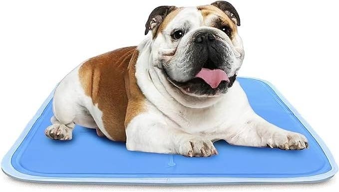Excessive Heat Can Be Dangerous To Pets, So Keep Them Cool With These 14 Products — image 6