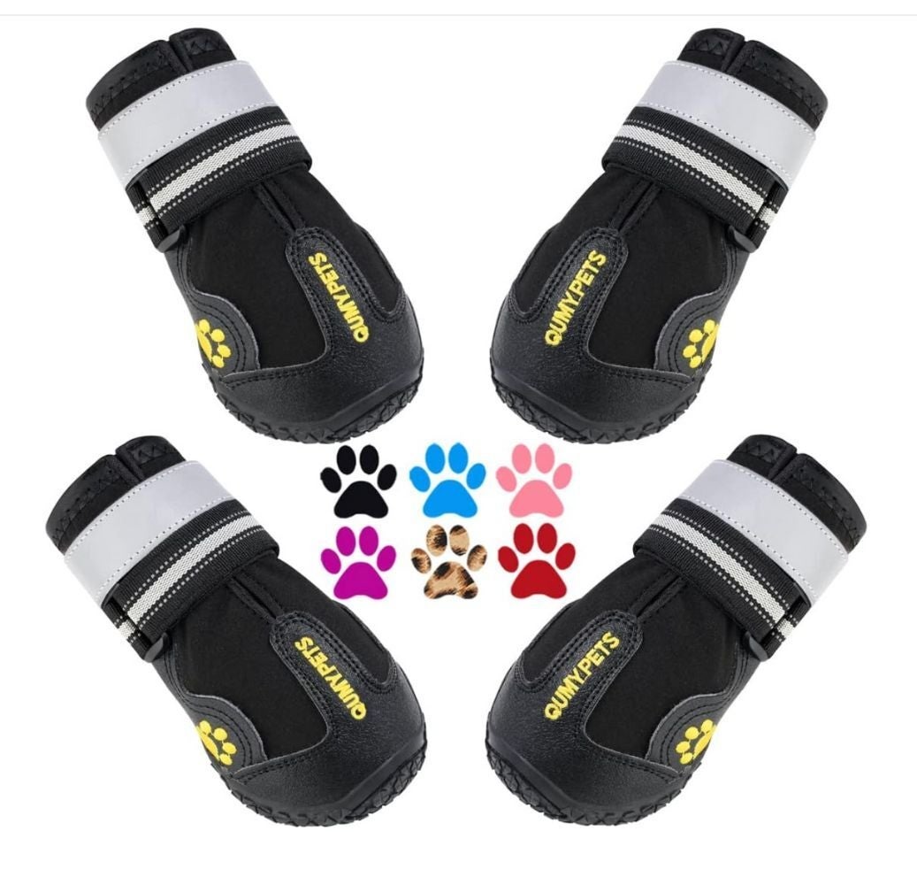 Excessive Heat Can Be Dangerous To Pets, So Keep Them Cool With These 14 Products — image 10