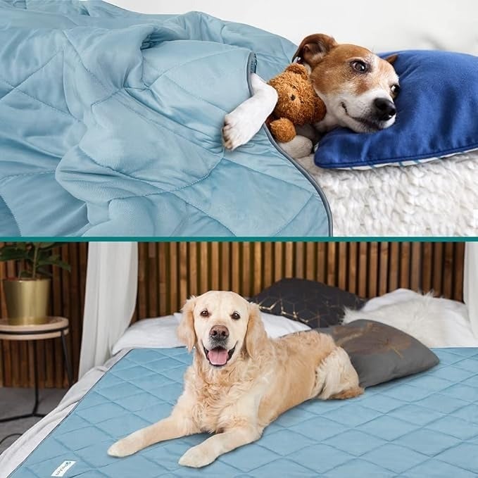Excessive Heat Can Be Dangerous To Pets, So Keep Them Cool With These 14 Products — image 12