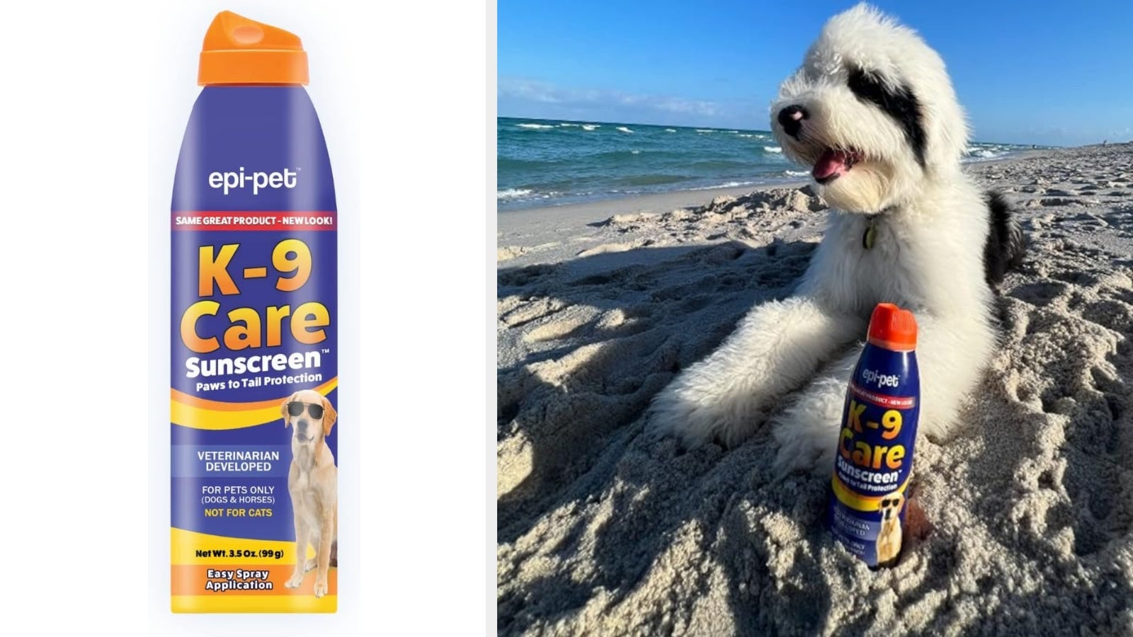 Everything You Need To Bring Your Dog Camping With You — image 9