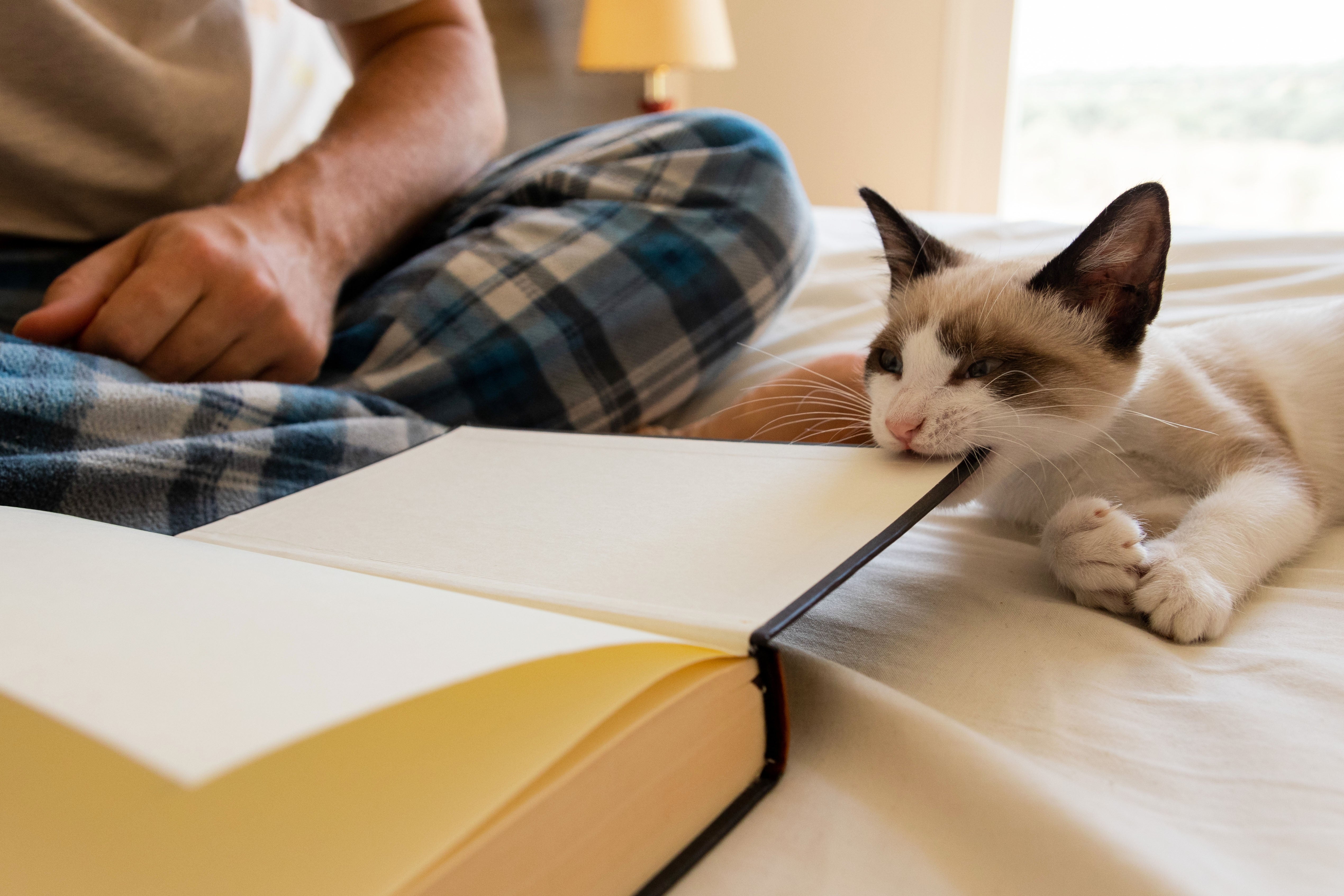 People Are Sharing How They Started Reading Books Again After A Looooong Reading Slump, And It's So Incredibly Helpful — image 10