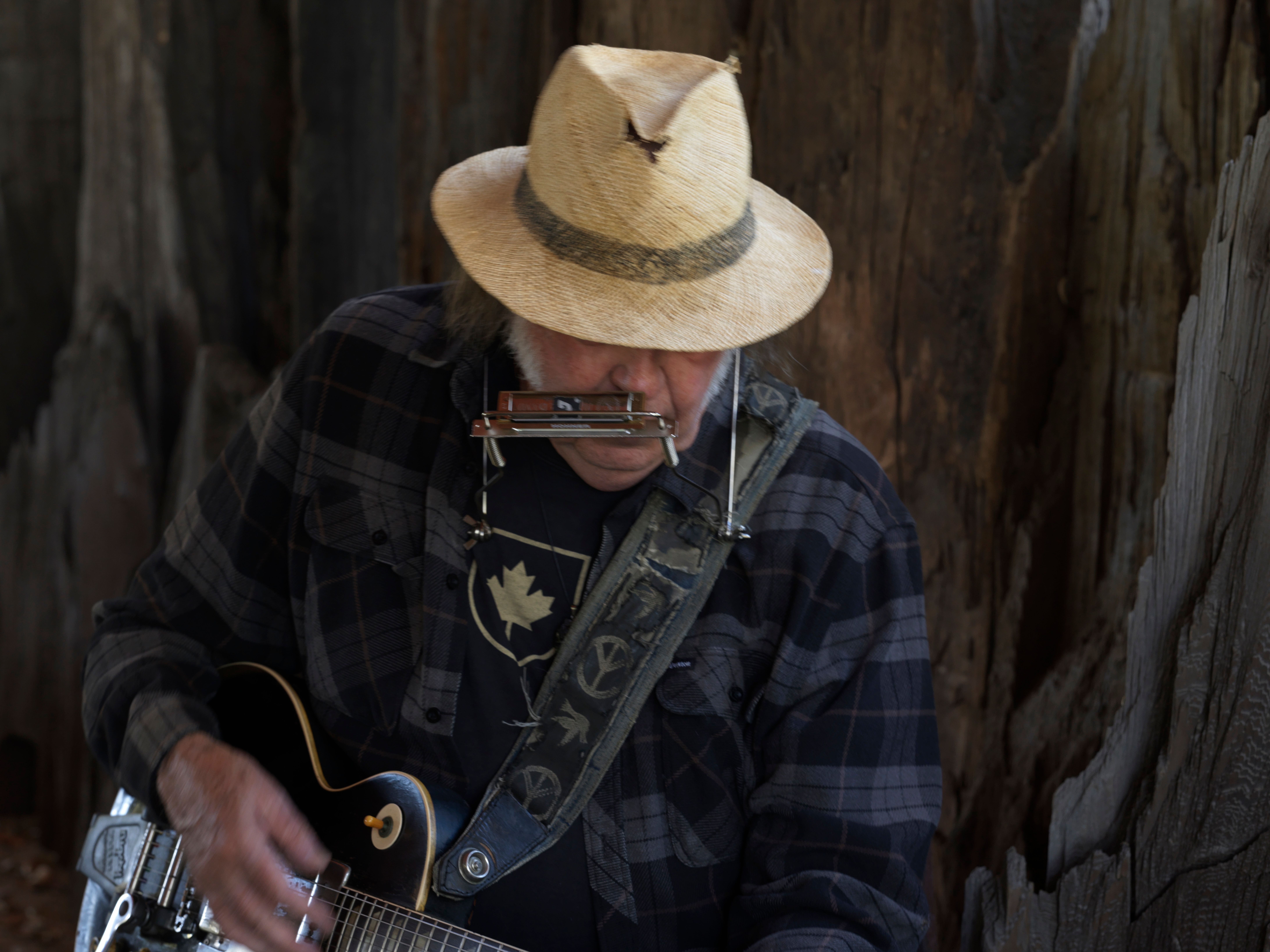Neil Young and the Chrome Hearts Return With New Album Second Song — image 2