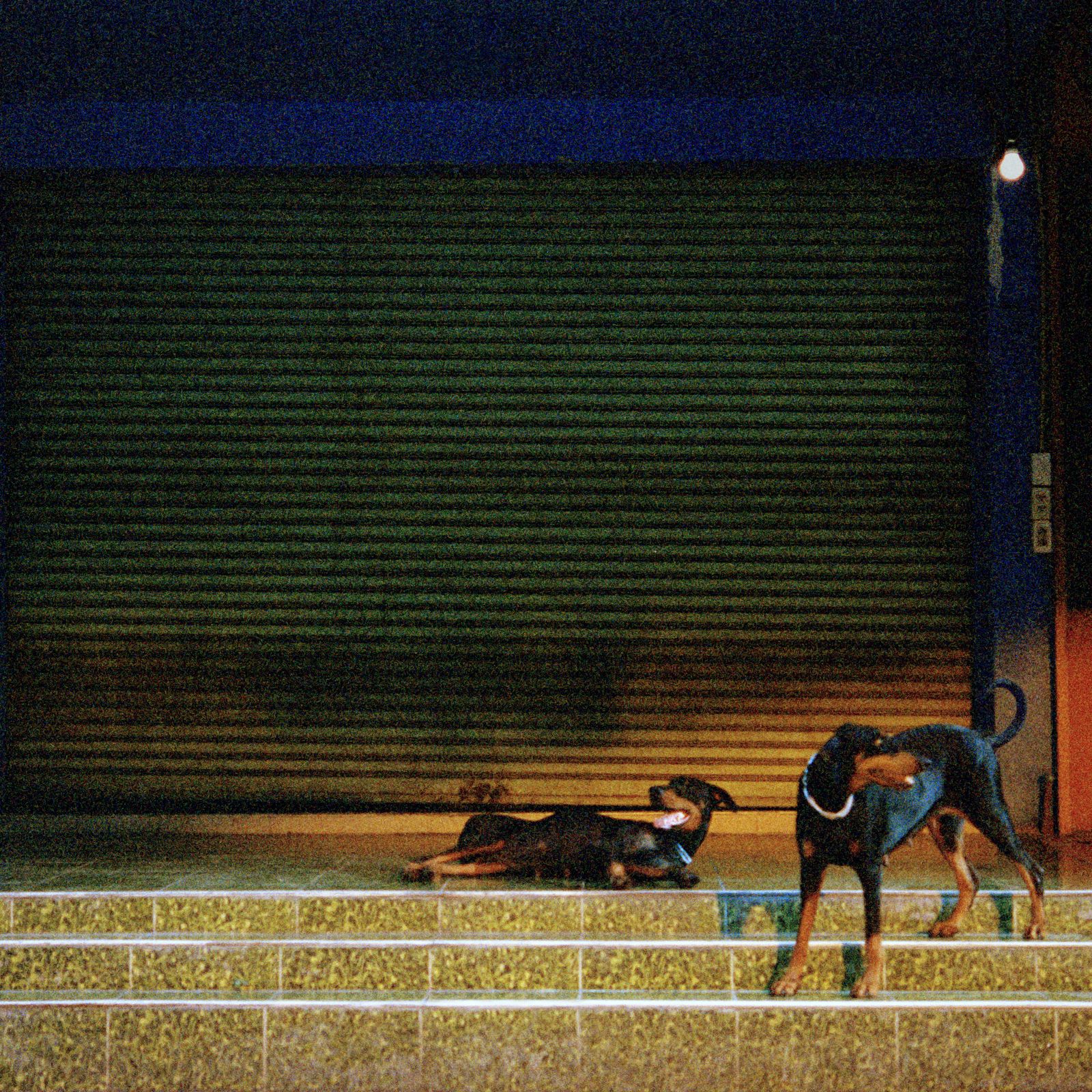 11 Albums Out This Week You Should Listen to Now — image 12