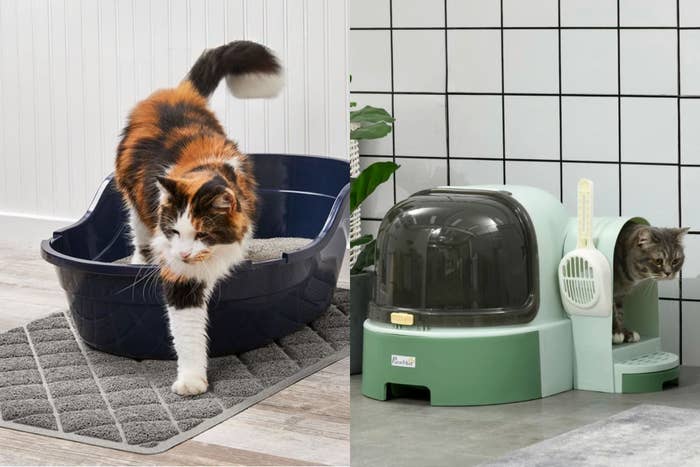 If Your Cat Tracks Litter Mess All Over The House, You Need These 9 Products — image 3