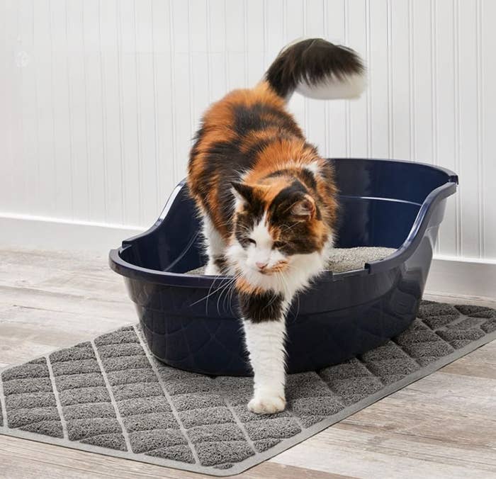 If Your Cat Tracks Litter Mess All Over The House, You Need These 9 Products — image 4