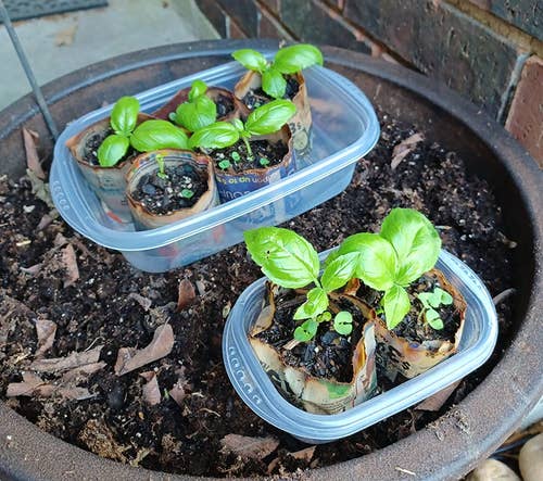 25 Plant Products For Anyone With A Brown Thumb, But Who Is Determined To Turn Things Around — image 3