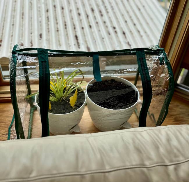 25 Plant Products For Anyone With A Brown Thumb, But Who Is Determined To Turn Things Around — image 6