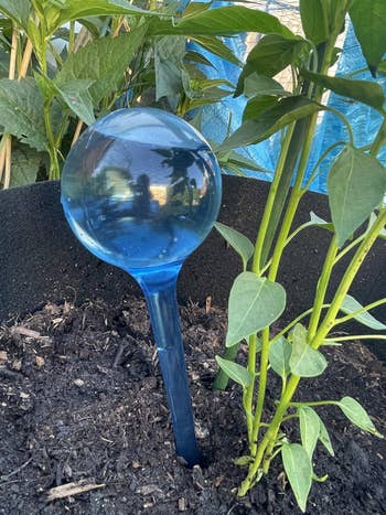 25 Plant Products For Anyone With A Brown Thumb, But Who Is Determined To Turn Things Around — image 11