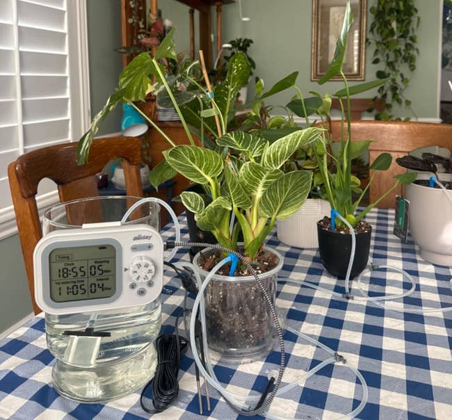 25 Plant Products For Anyone With A Brown Thumb, But Who Is Determined To Turn Things Around — image 15