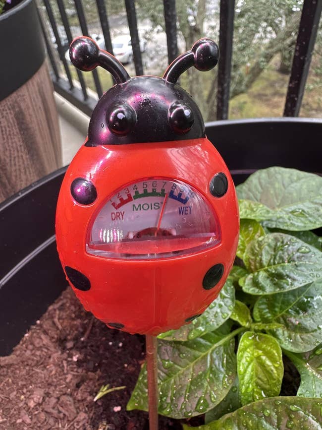 25 Plant Products For Anyone With A Brown Thumb, But Who Is Determined To Turn Things Around — image 16