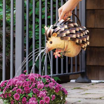 25 Plant Products For Anyone With A Brown Thumb, But Who Is Determined To Turn Things Around — image 18