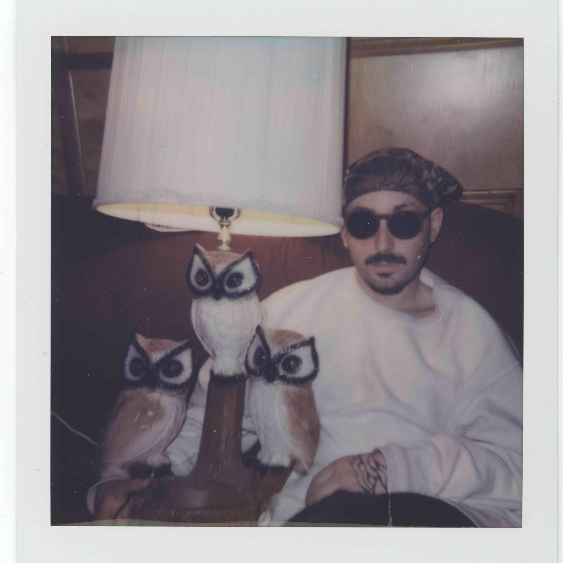 Oso Oso Announce North American Tour — image 3