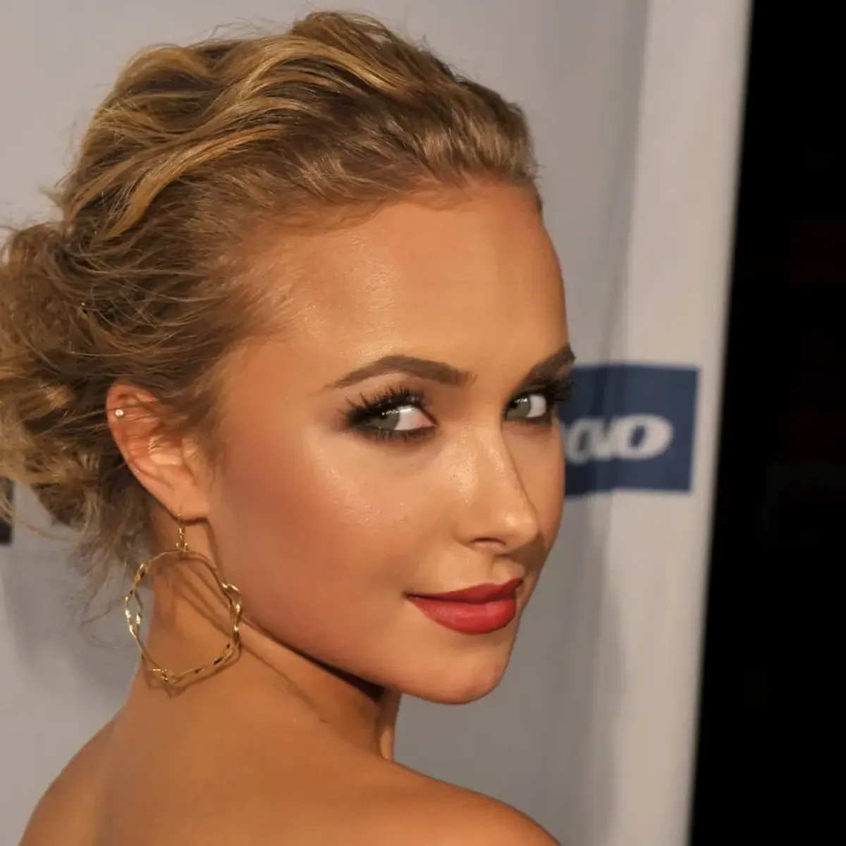 DEA Joins Hayden Panettiere’s Death Investigation: Report — image 2