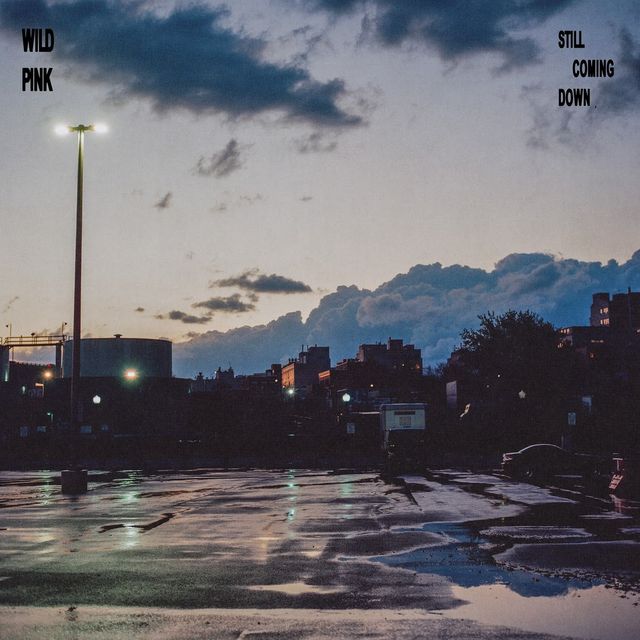 Dinosaur Jr.: There Near — image 5
