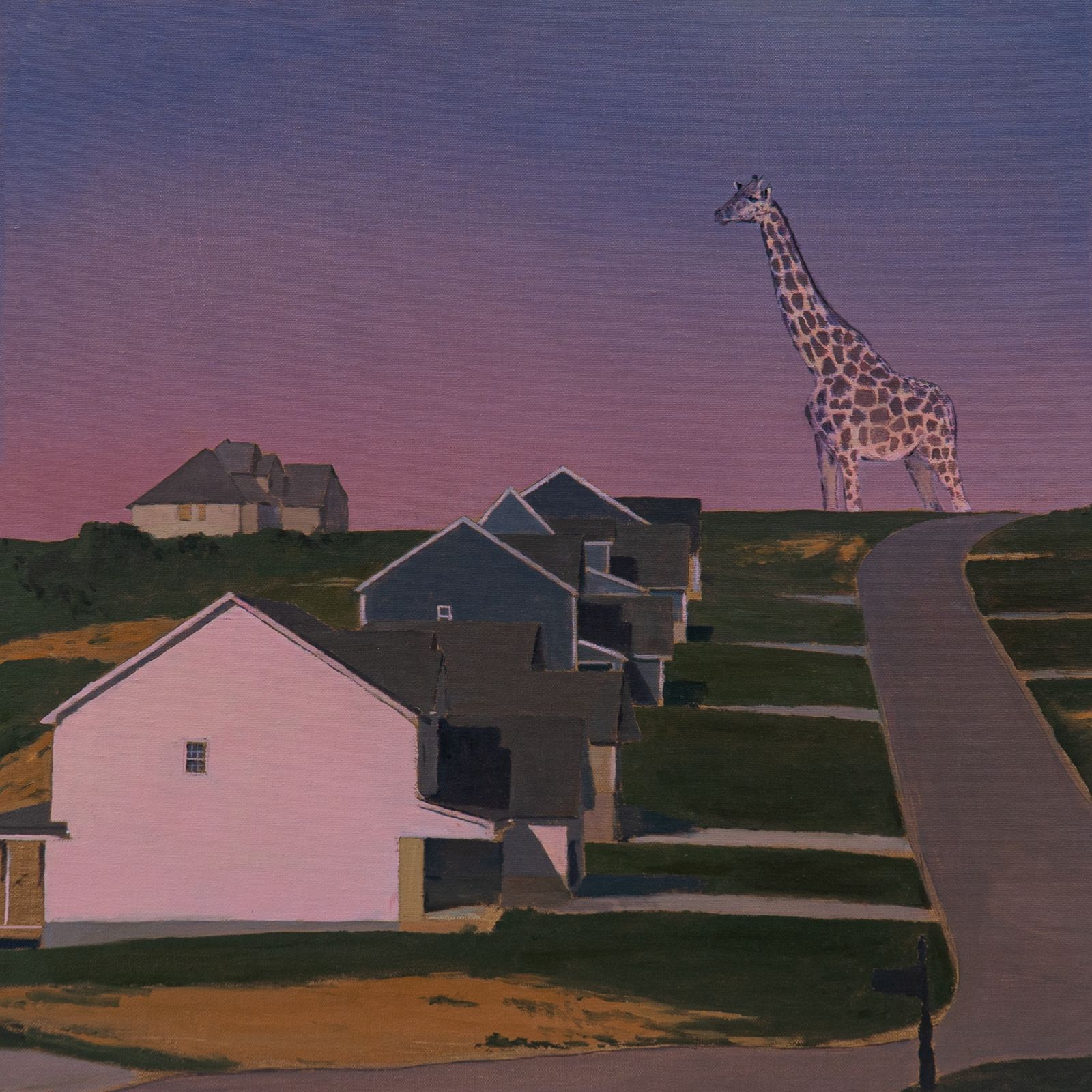 Oso Oso Announce Album on Mark Quinlan’s New Label — image 6