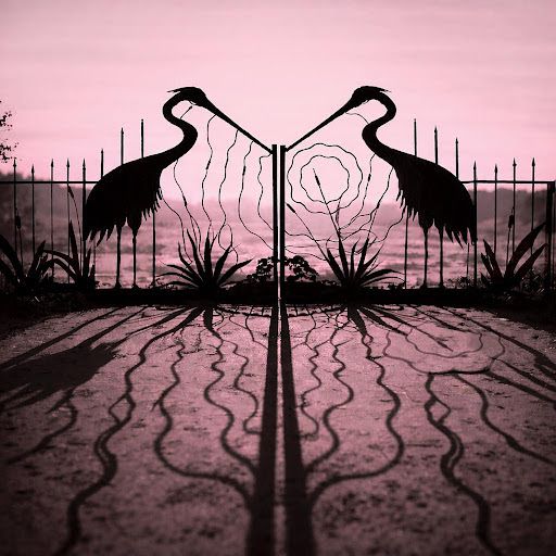 Billy Strings: So Much for Goodbyes — image 6