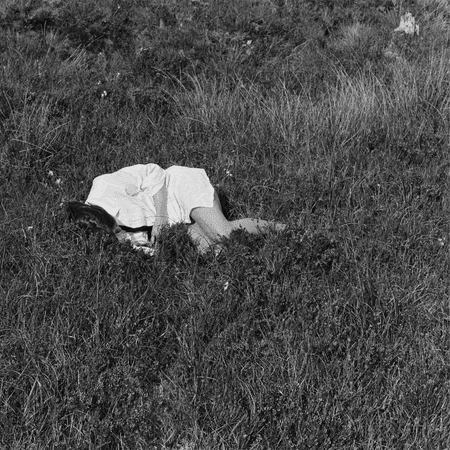 Nina Winder-Lind: Wild Love — image 3