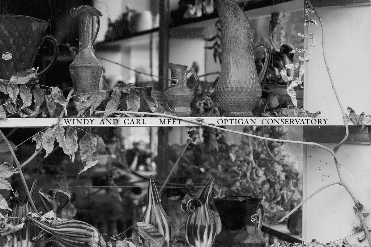 Windy & Carl / Optigan Conservatory: Windy & Carl Meet Optigan Conservatory — image 1
