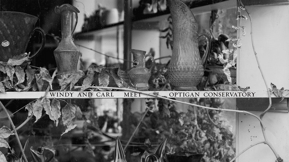 Windy & Carl / Optigan Conservatory: Windy & Carl Meet Optigan Conservatory — image 2