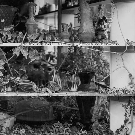 Windy & Carl / Optigan Conservatory: Windy & Carl Meet Optigan Conservatory — image 3