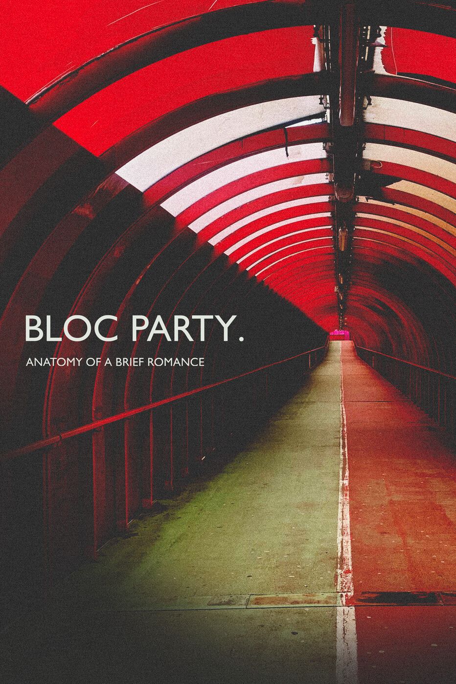 Bloc Party: Anatomy of a Brief Romance — image 1