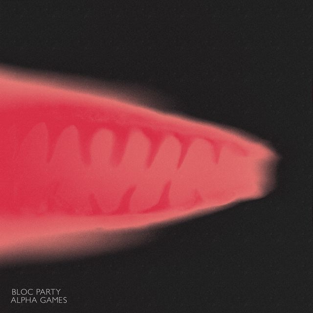 Bloc Party: Anatomy of a Brief Romance — image 8