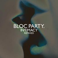 Bloc Party: Anatomy of a Brief Romance — image 12