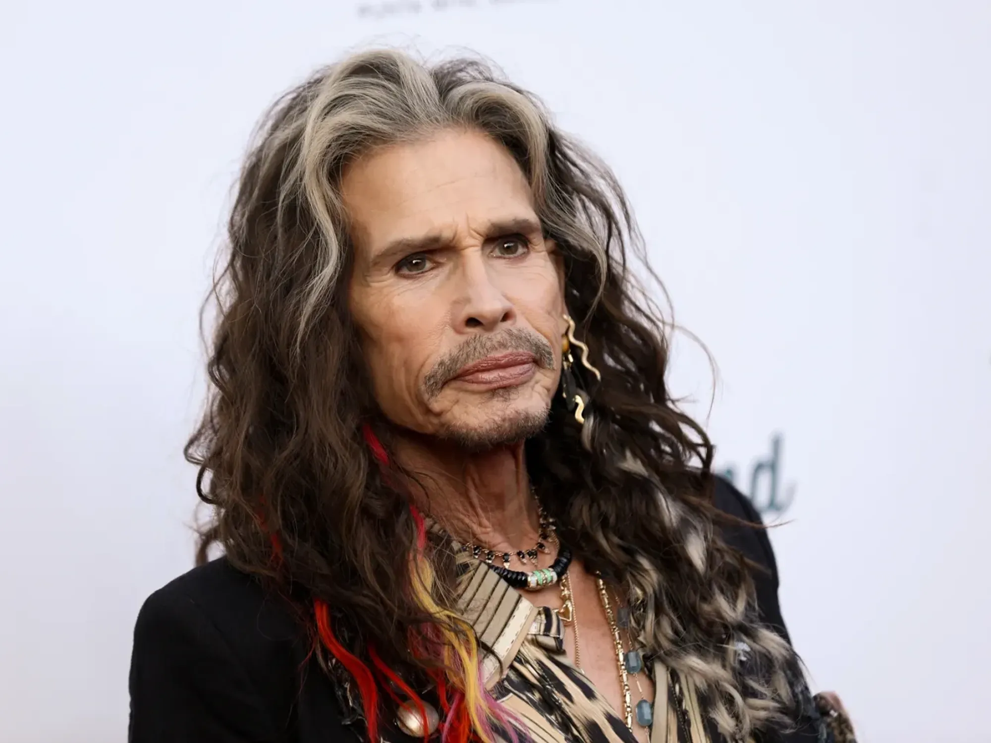 Steven Tyler Sexual Assault Case Judge Mysteriously Recuses Herself Two Weeks Before Trial — image 3